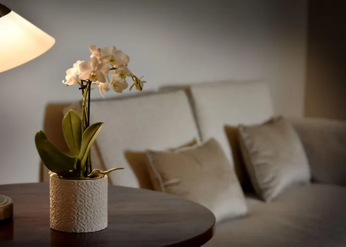 Santa Barbara مونتيفالكو